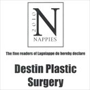 Lapniappe’s Best Facelift Doc Award 2010