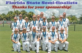 Florida State Semi-finalists baseball